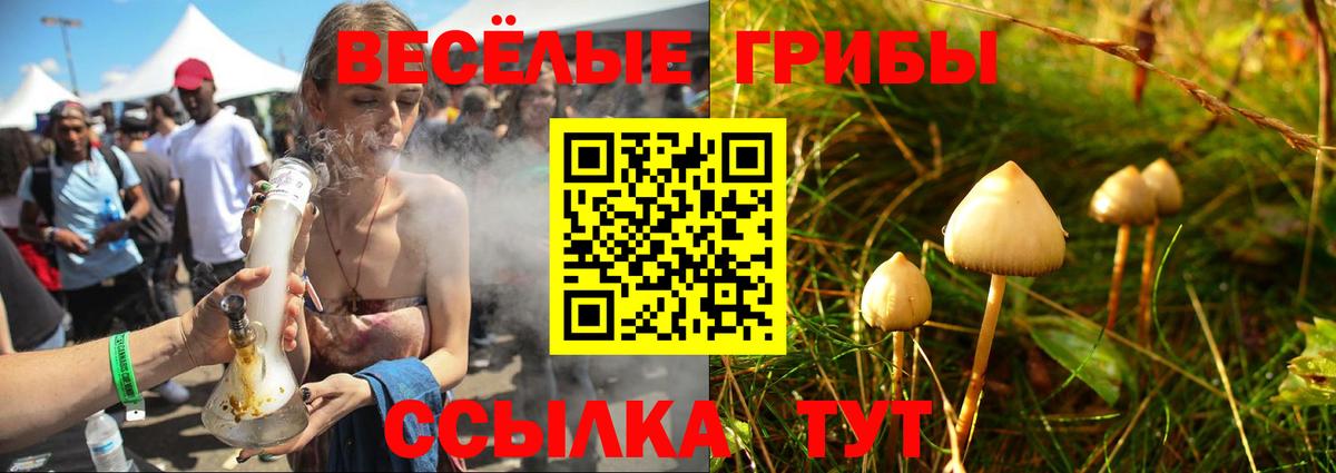 Псилоцибиновые грибы мухоморы Ивантеевка