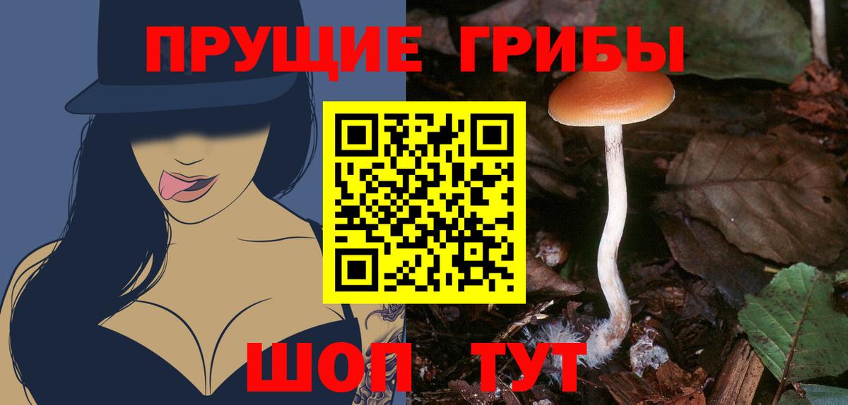 Ивантеевка  Галлюциногенные грибы Cubensis  Псилоцибиновые грибы ЛСД  Вход с VPN 